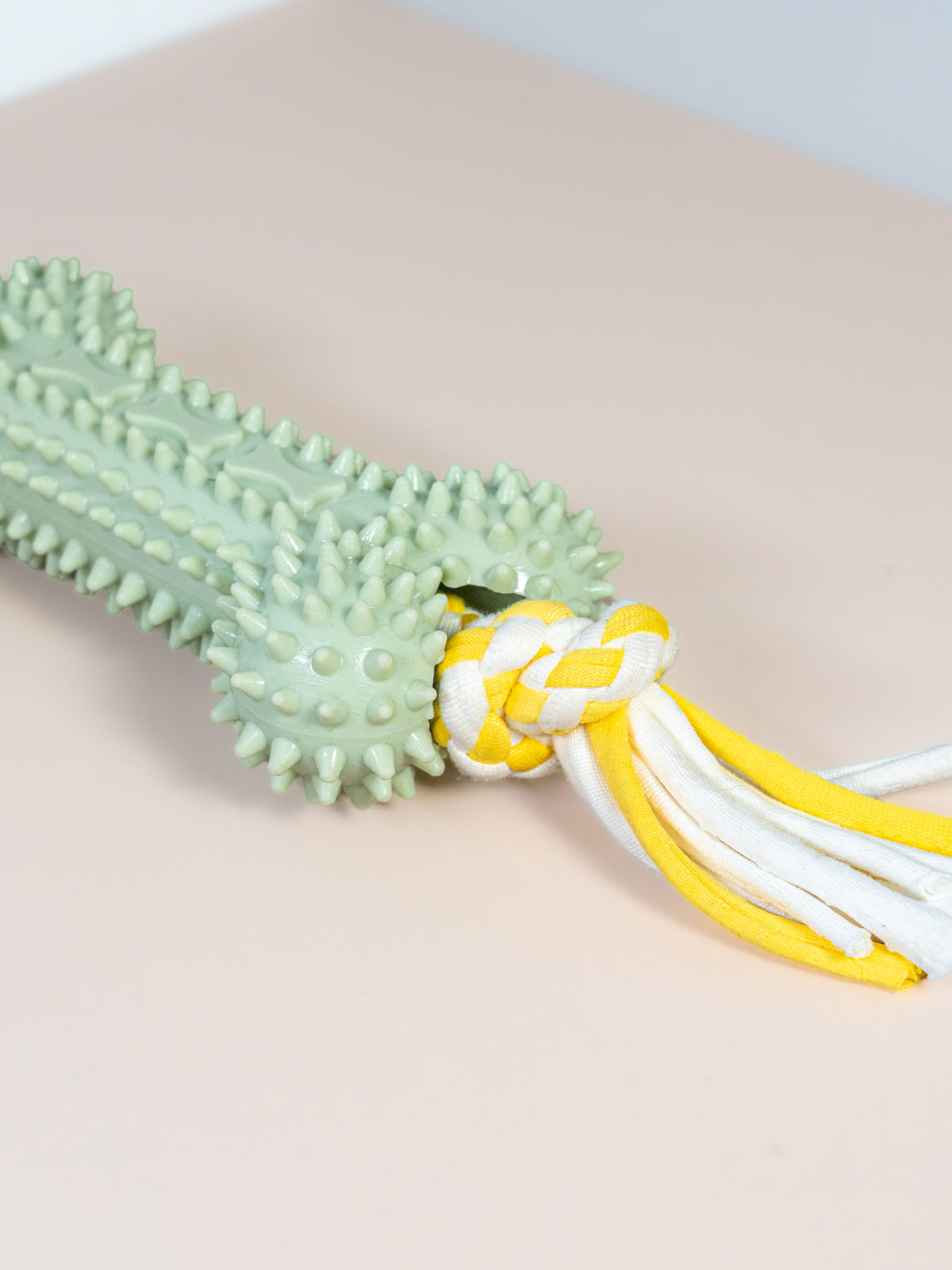 Spiky Silicone Bone Dog Toy with Rope Ends