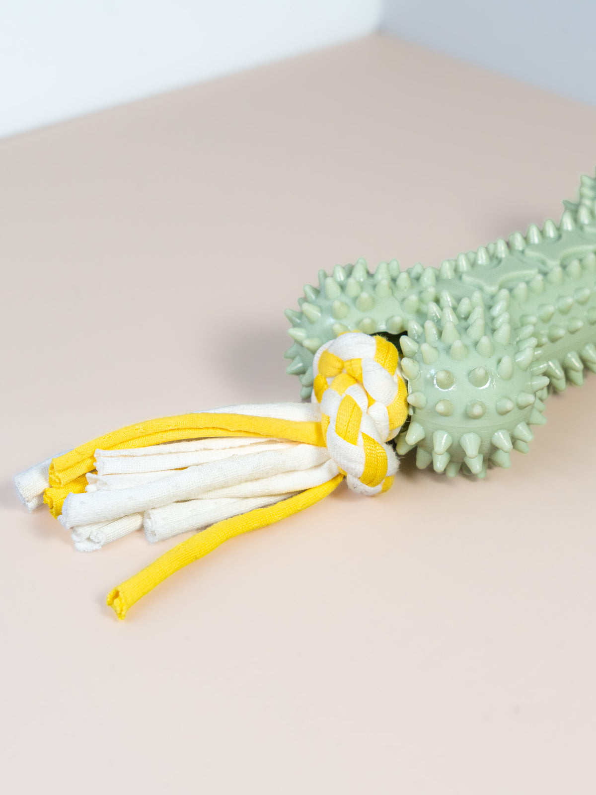 Spiky Silicone Bone Dog Toy with Rope Ends