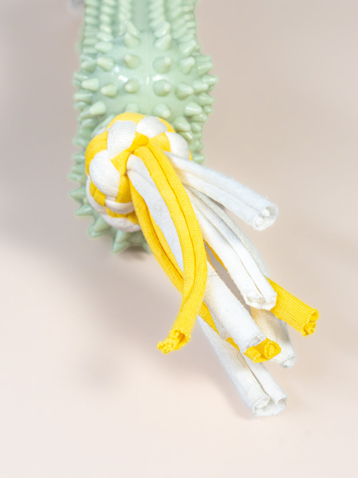 Spiky Silicone Bone Dog Toy with Rope Ends